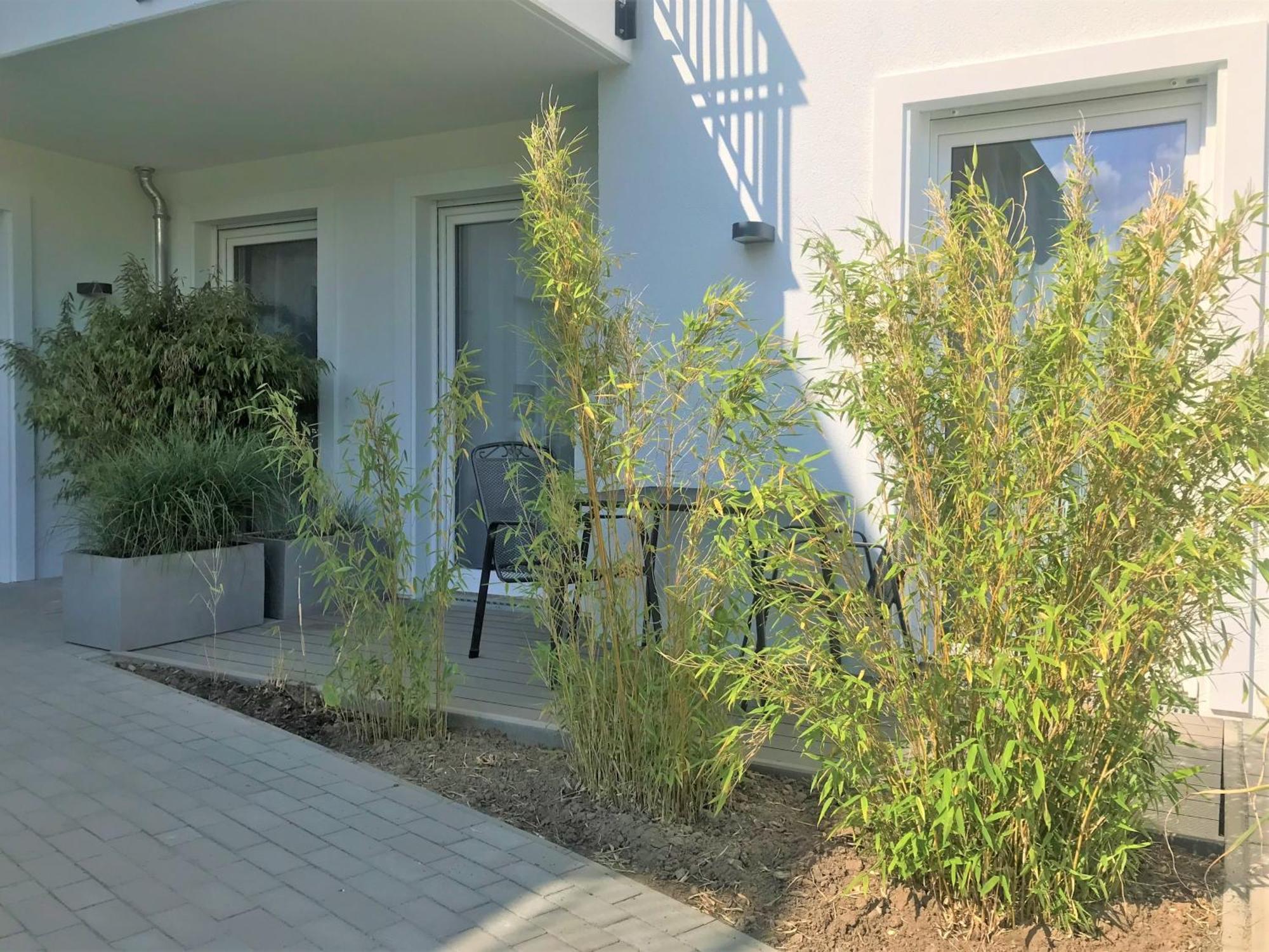 App 6, Strandresidenz Duenenperle Ostseebad Kühlungsborn Exteriér fotografie